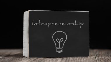 Learn Intrapreneurship Online